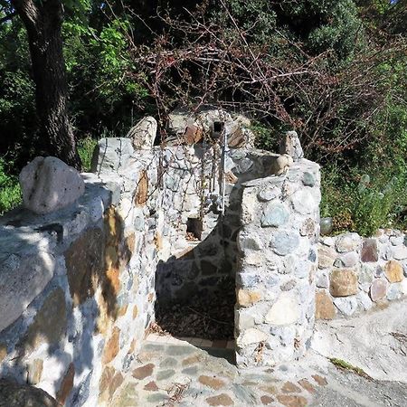 B&B Le Rose Del Tirreno Falerna Bagian luar foto